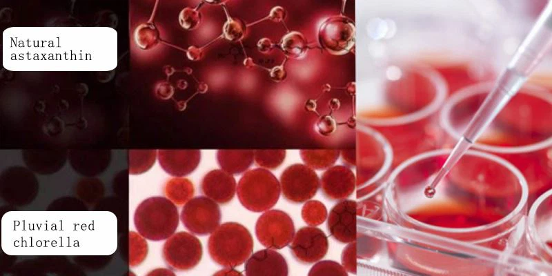 Natural astaxanthin powder raw materials display Natural astaxanthin powder raw materials display
