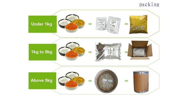 Coptidis Rhizoma Extract Powder packing