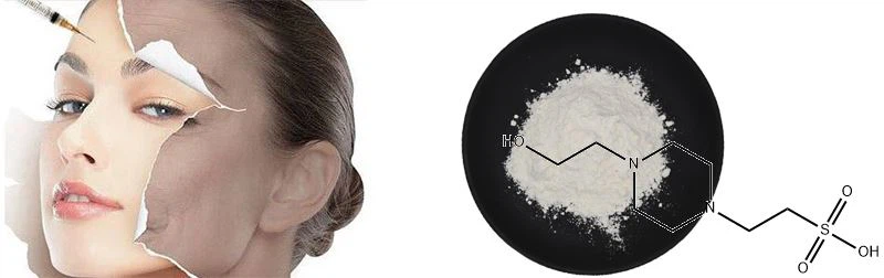 Hepes Biological Buffer Powder Hepes Biological Buffer Powder