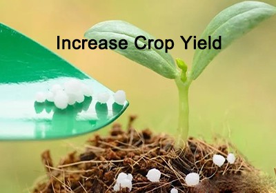 kojic acid powder increases production