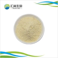 Bột Saponin Notoginseng